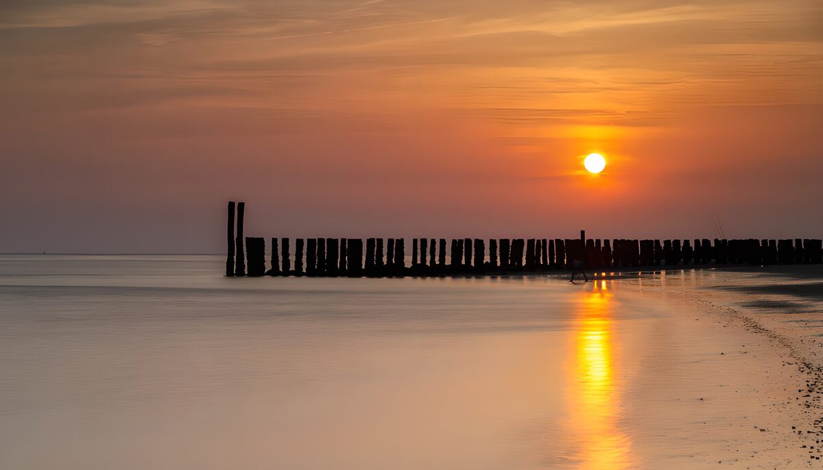 Wooden breakwater in warm coastal light