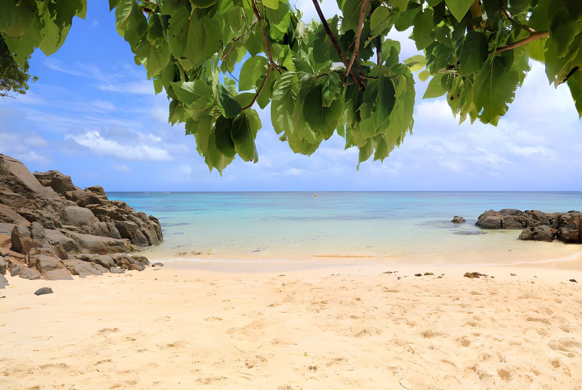 Shaded beach beside a turquoise sea