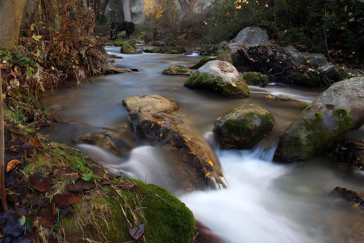 Autumn stream over mossy rocks