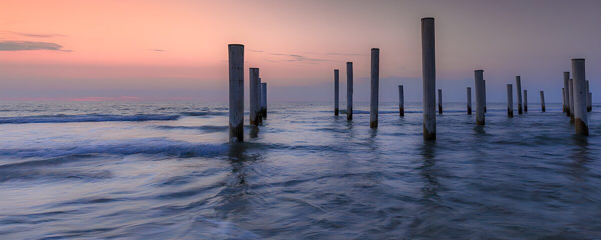 Weathered sea posts at dusk
