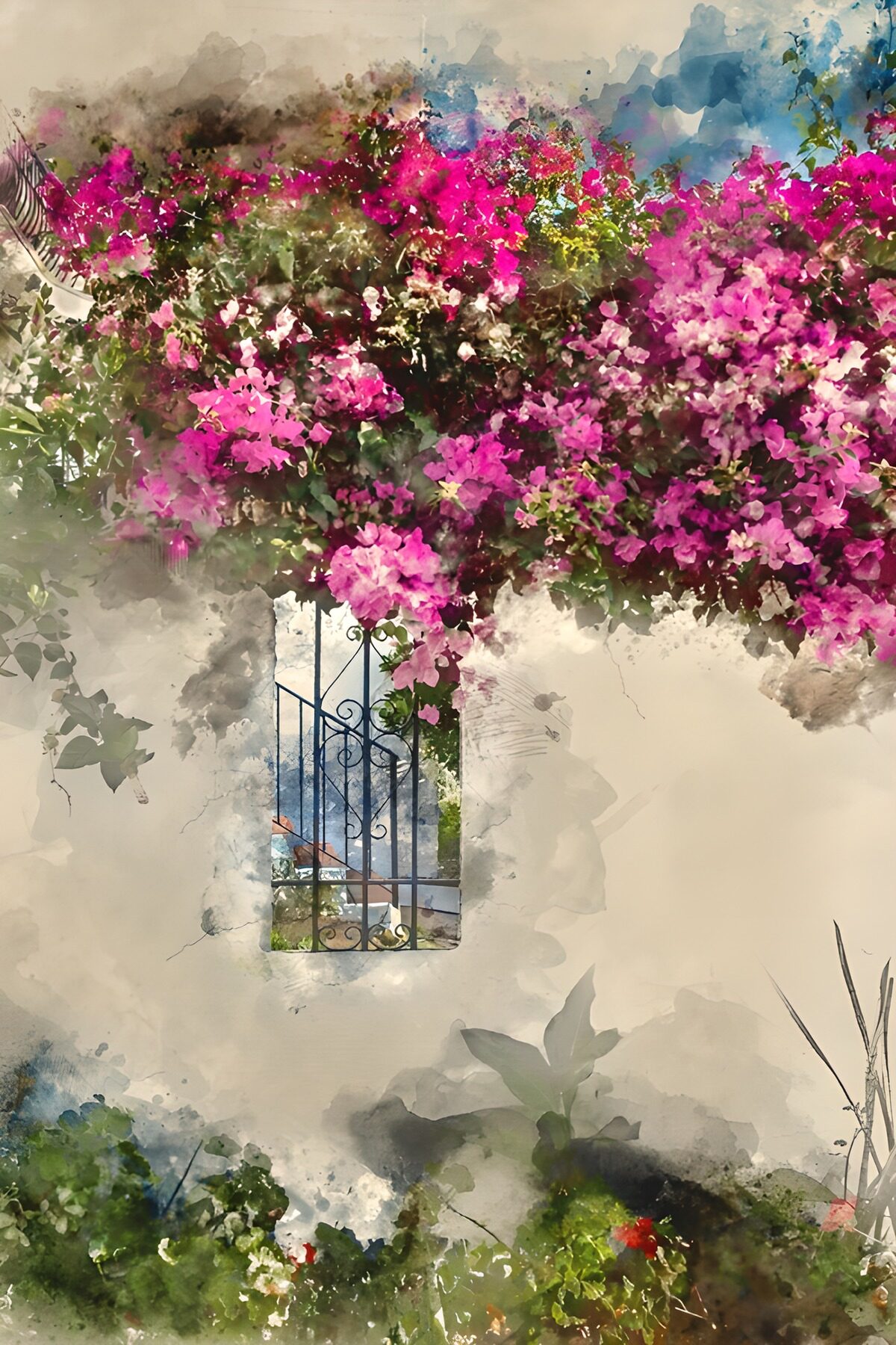 Pink bougainvillea on a sun-washed wall