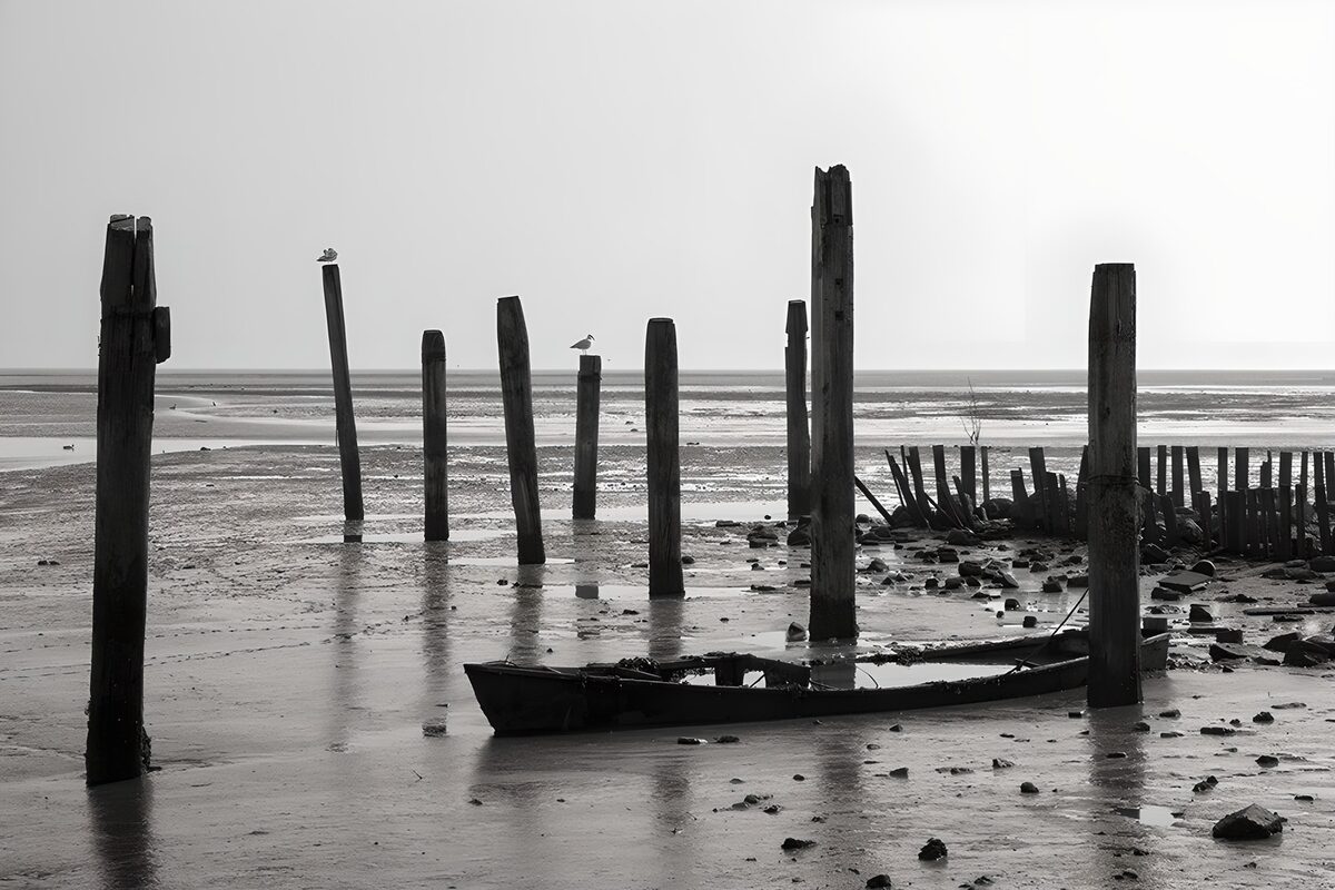Abandoned boat among weathered posts
