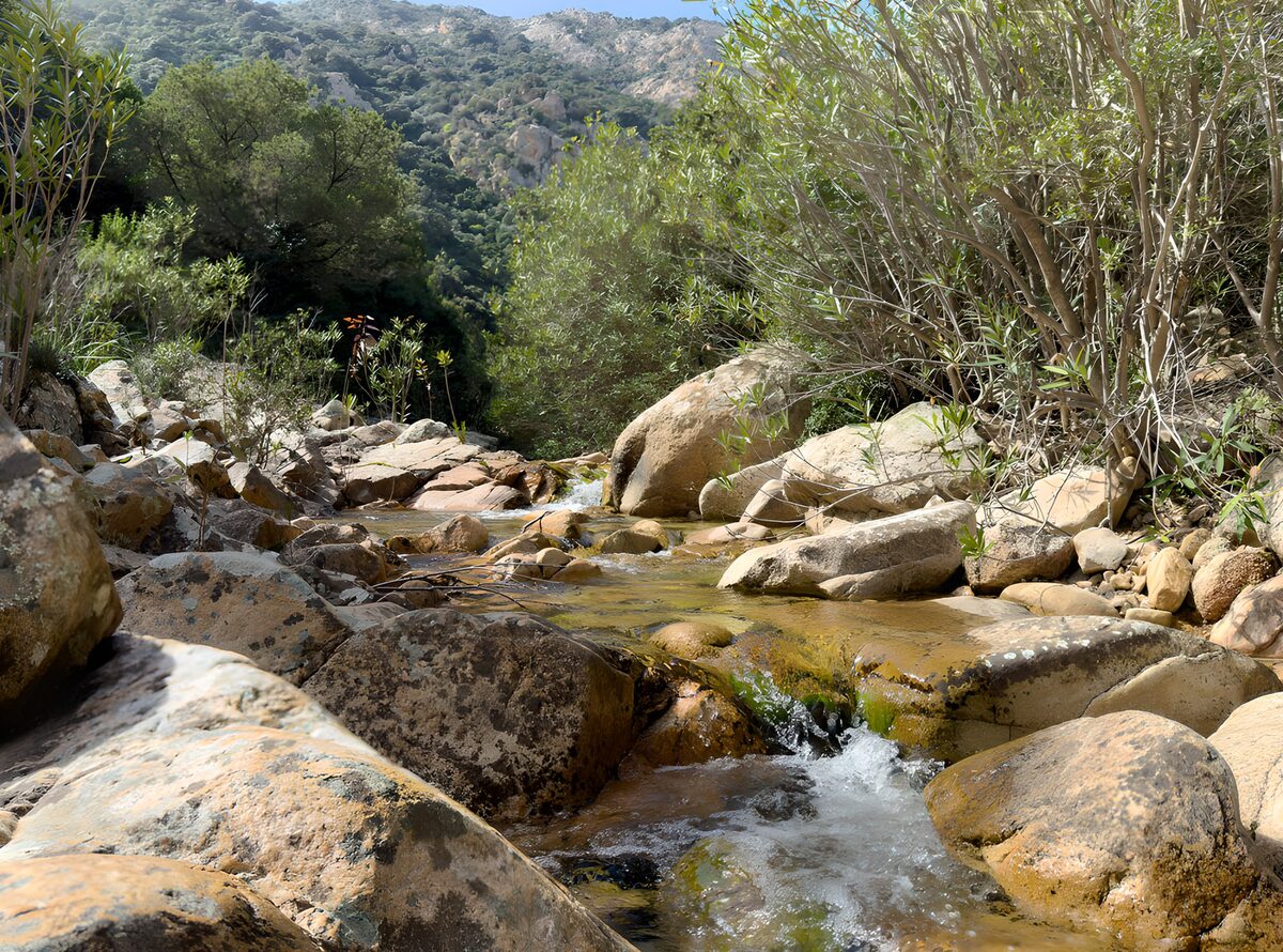 Sunlit stream between rugged boulders