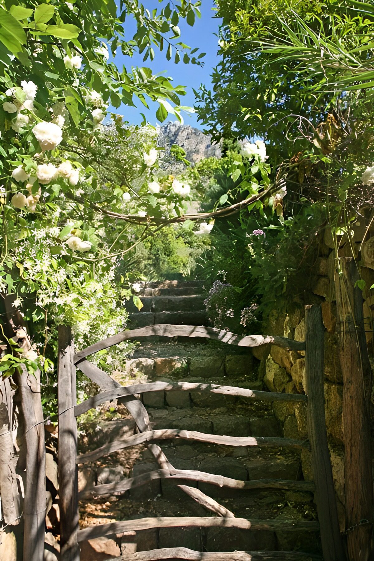 Sunlit stone steps beyond a wooden gate