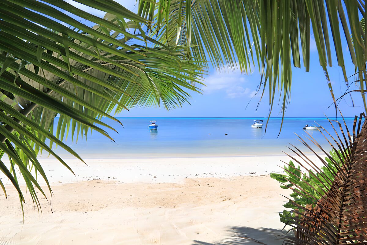 Palm shadows and a sea of blue