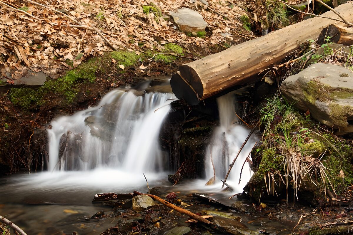 Woodland waterfall over mossy rocks