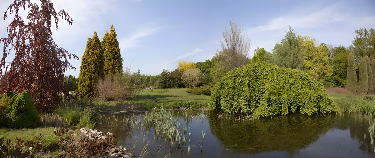 Spring trees around a quiet garden pond