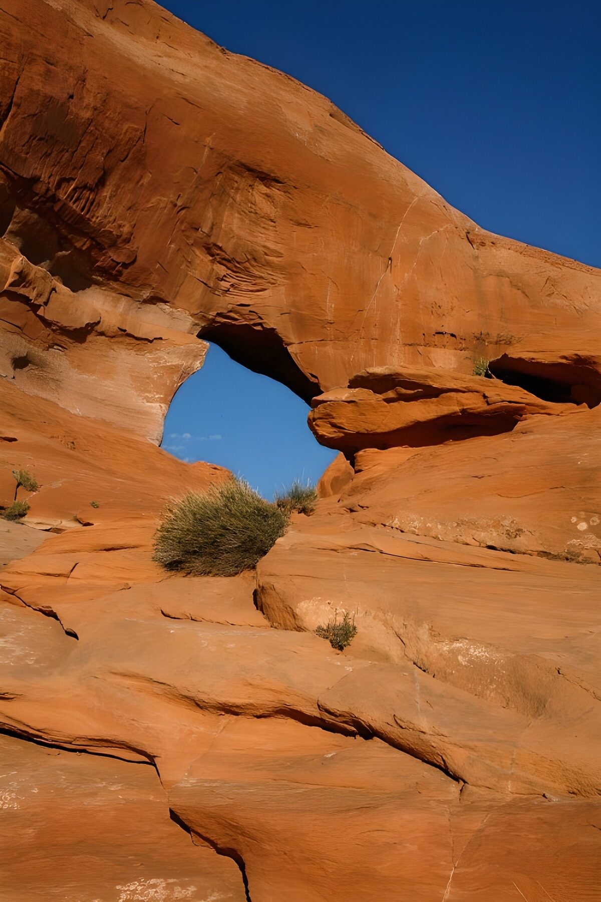 Sunlit red sandstone arch
