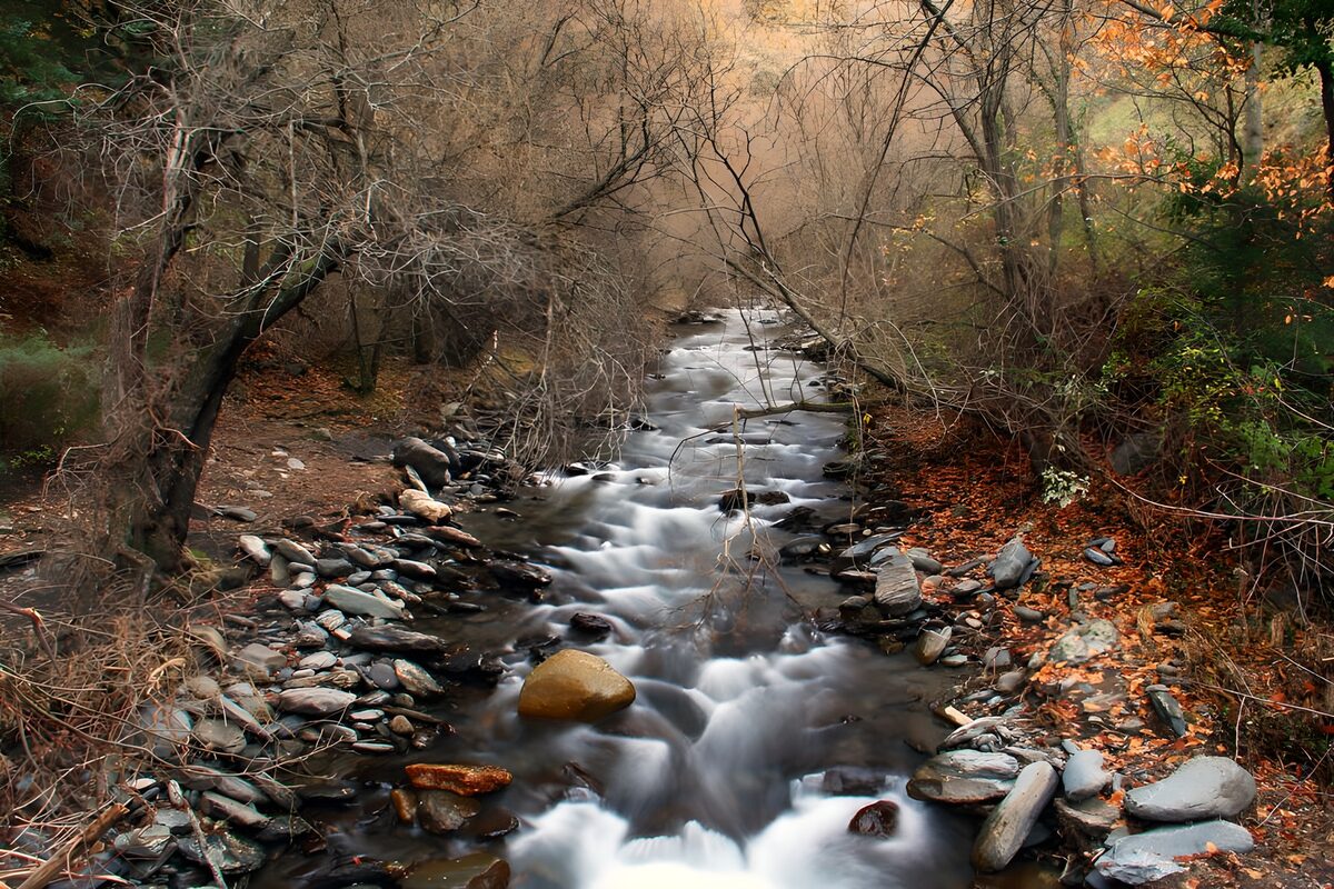 Quiet autumn stream over woodland rocks