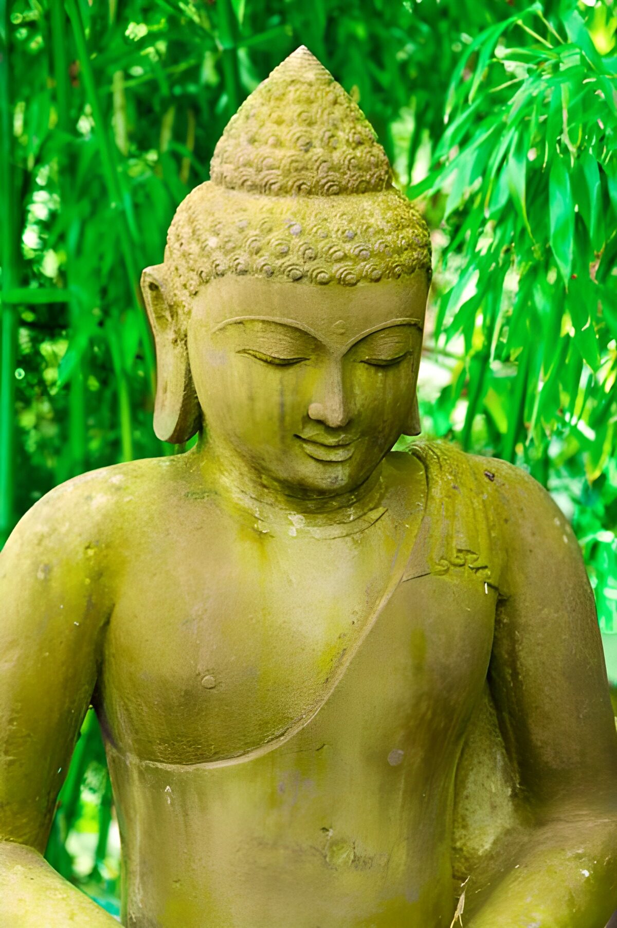 Weathered Buddha among green bamboo