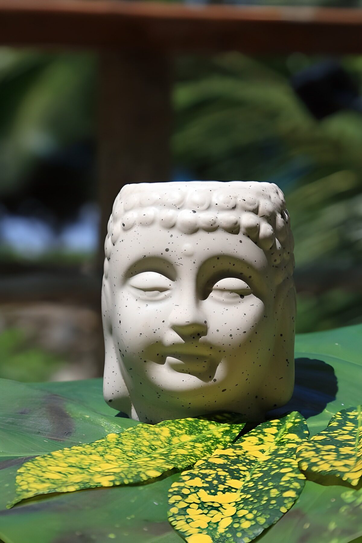 White Buddha head on sunlit leaves