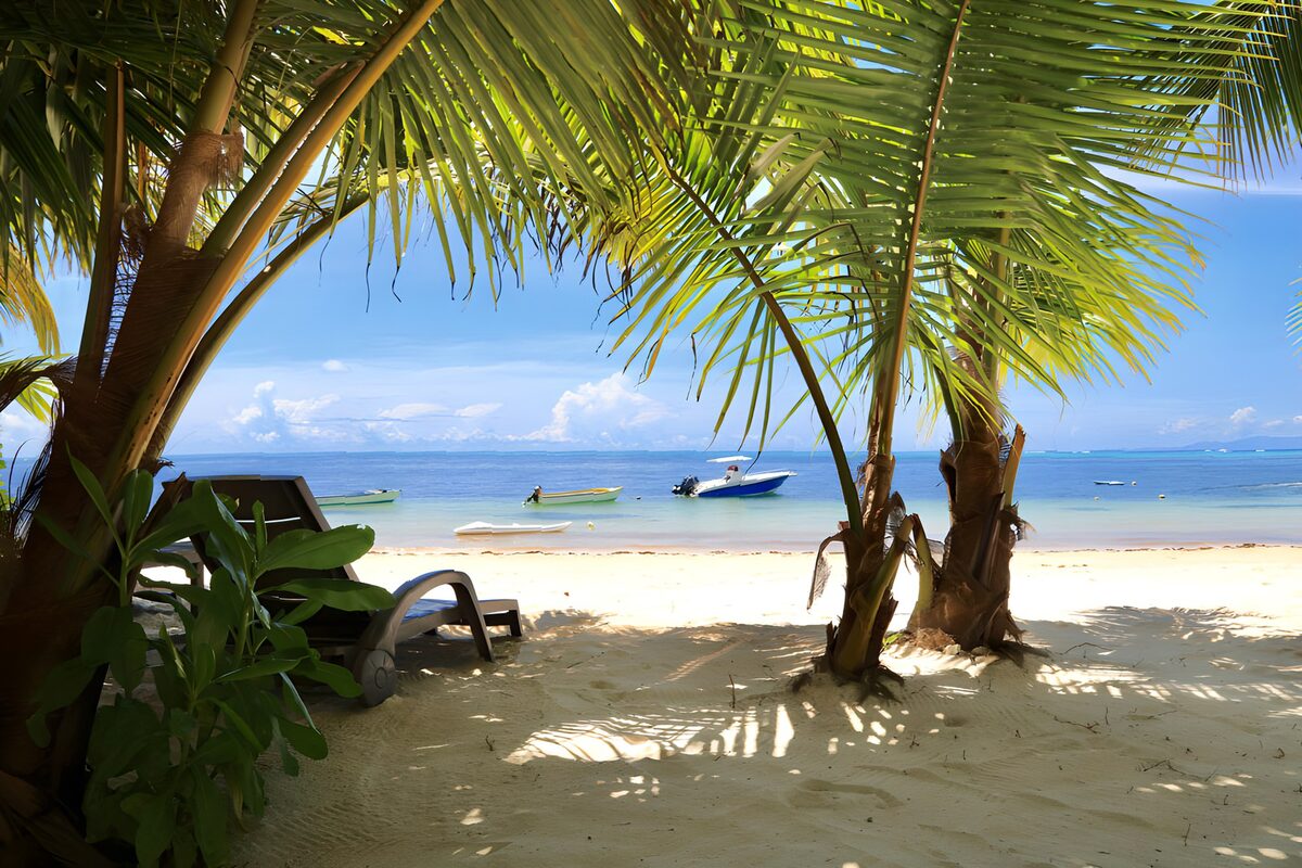 Palms, boats and no plans