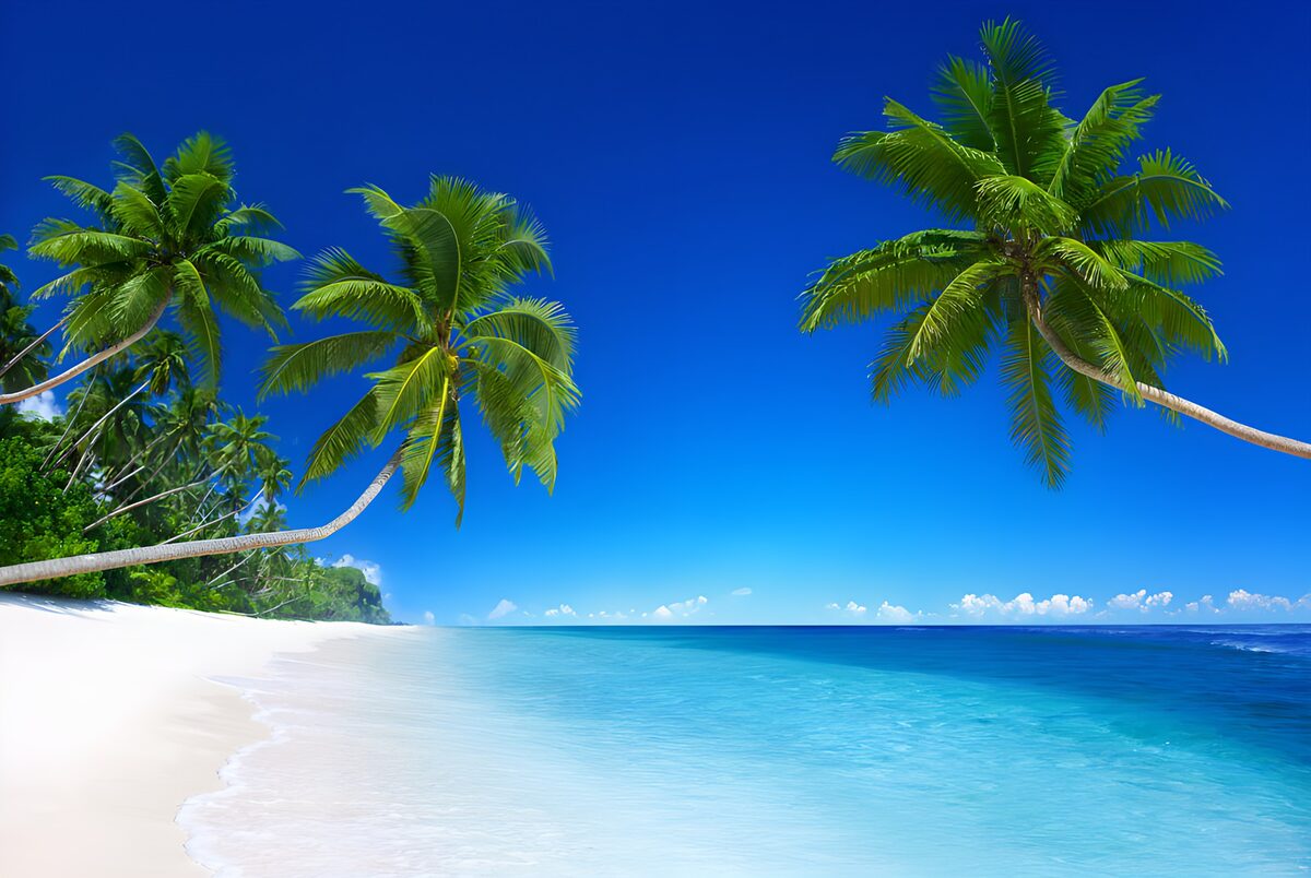 Sunlit palms on a white-sand beach