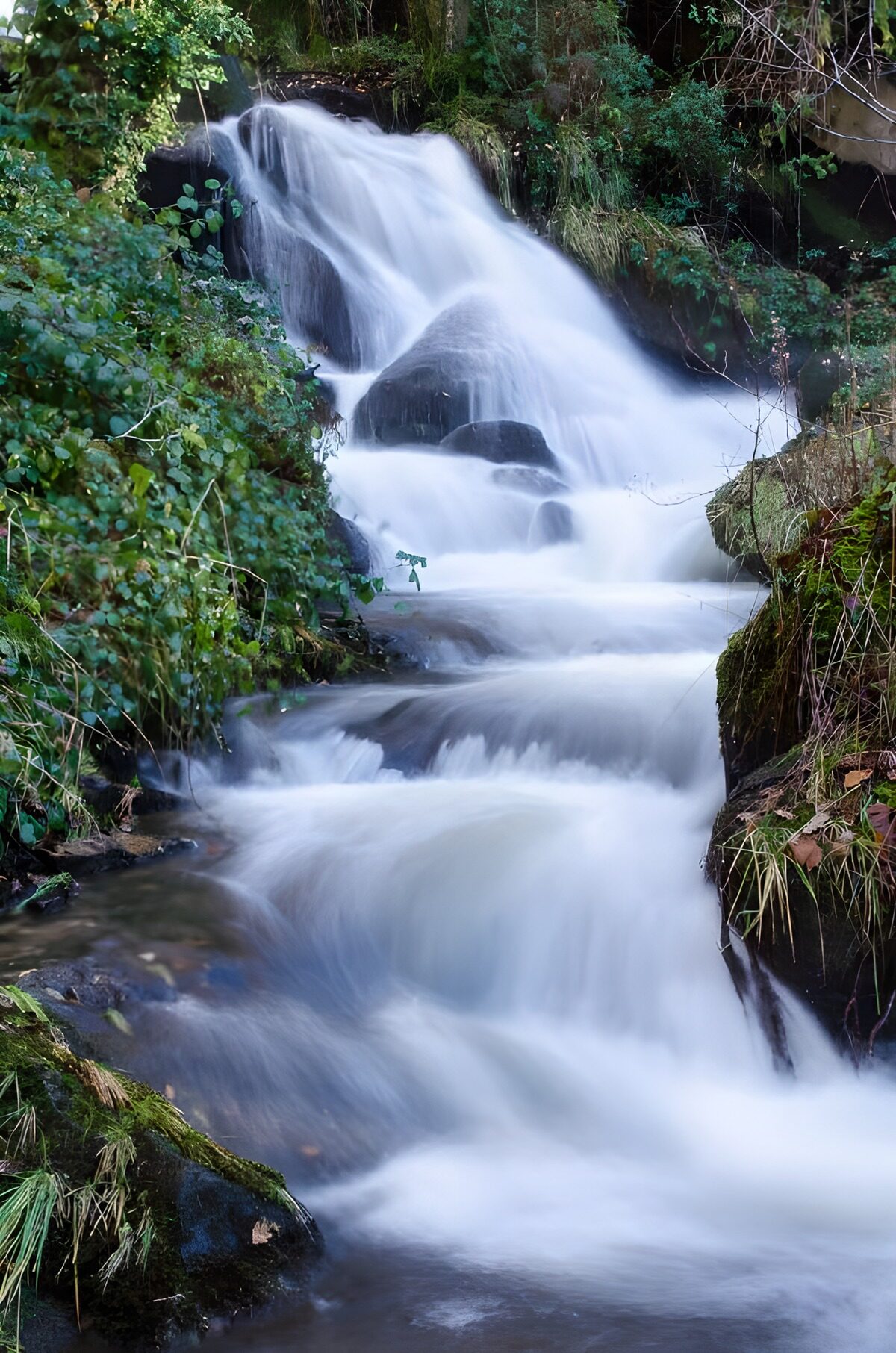 Woodland waterfall over dark rock