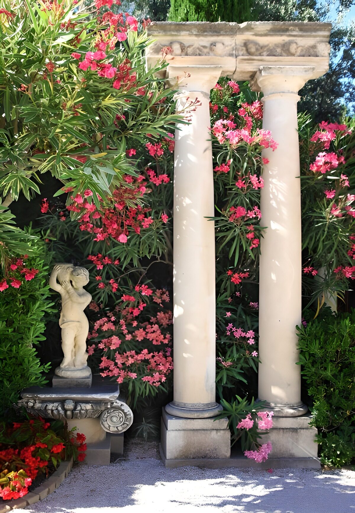 Sunlit columns among pink oleanders