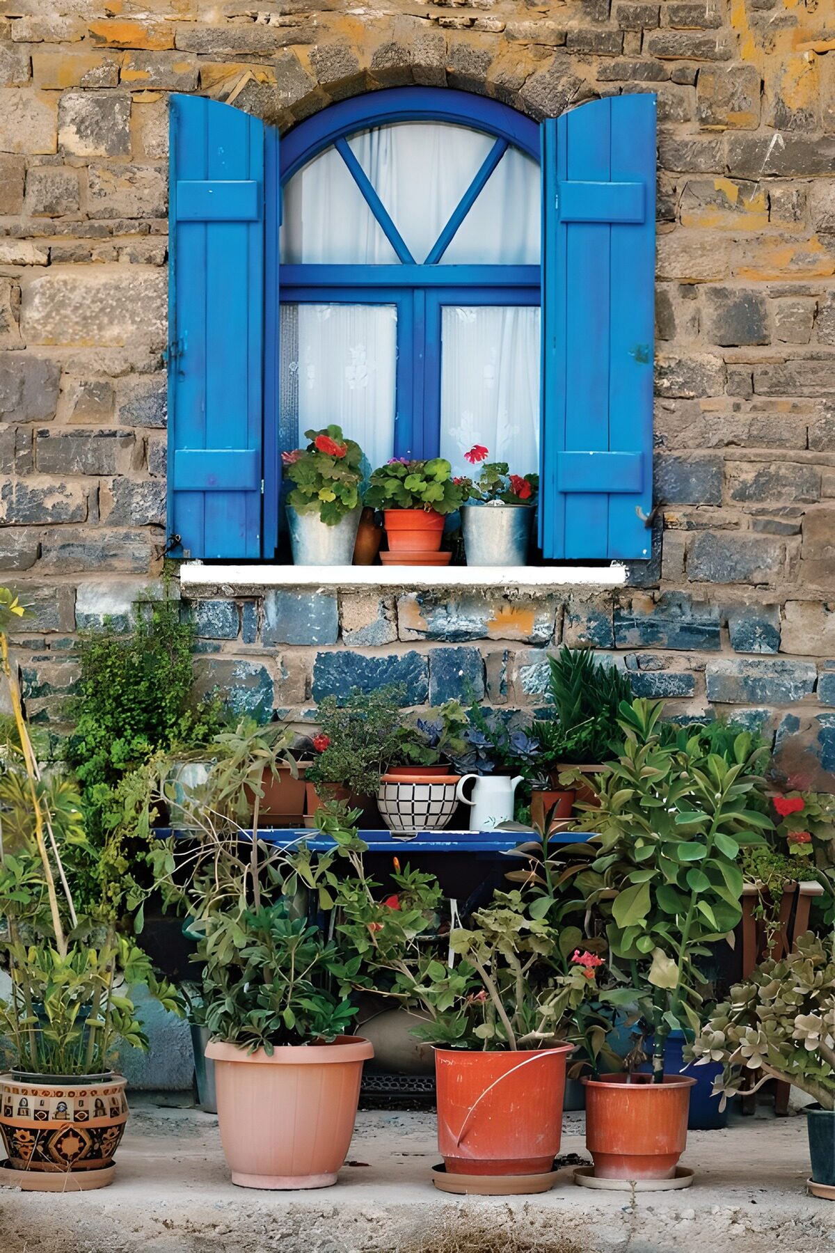 Blue shutters and a sill full of flowers