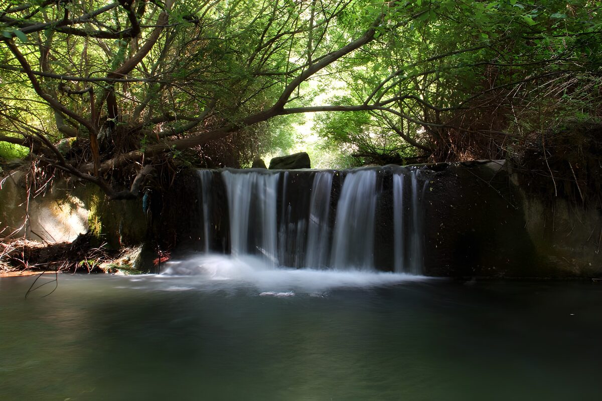Woodland waterfall and a shaded pool