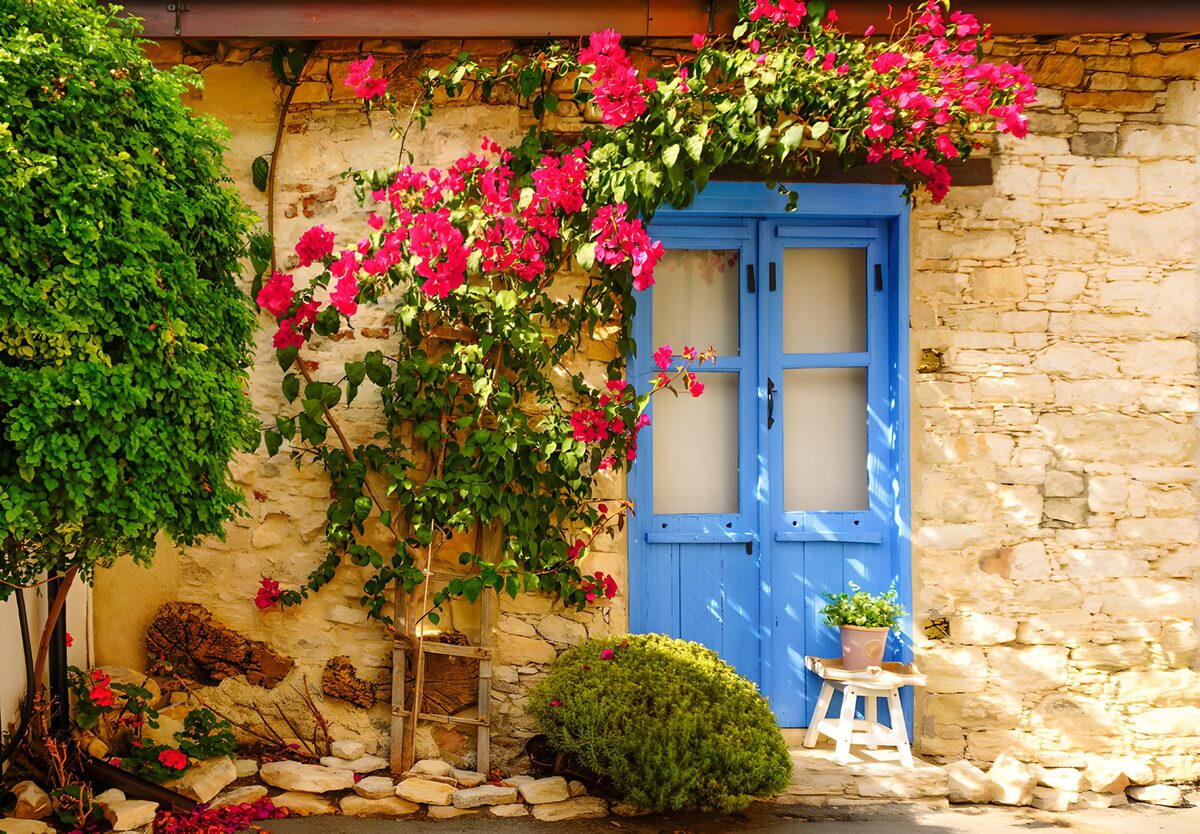 Blue doors and bougainvillea in the sun