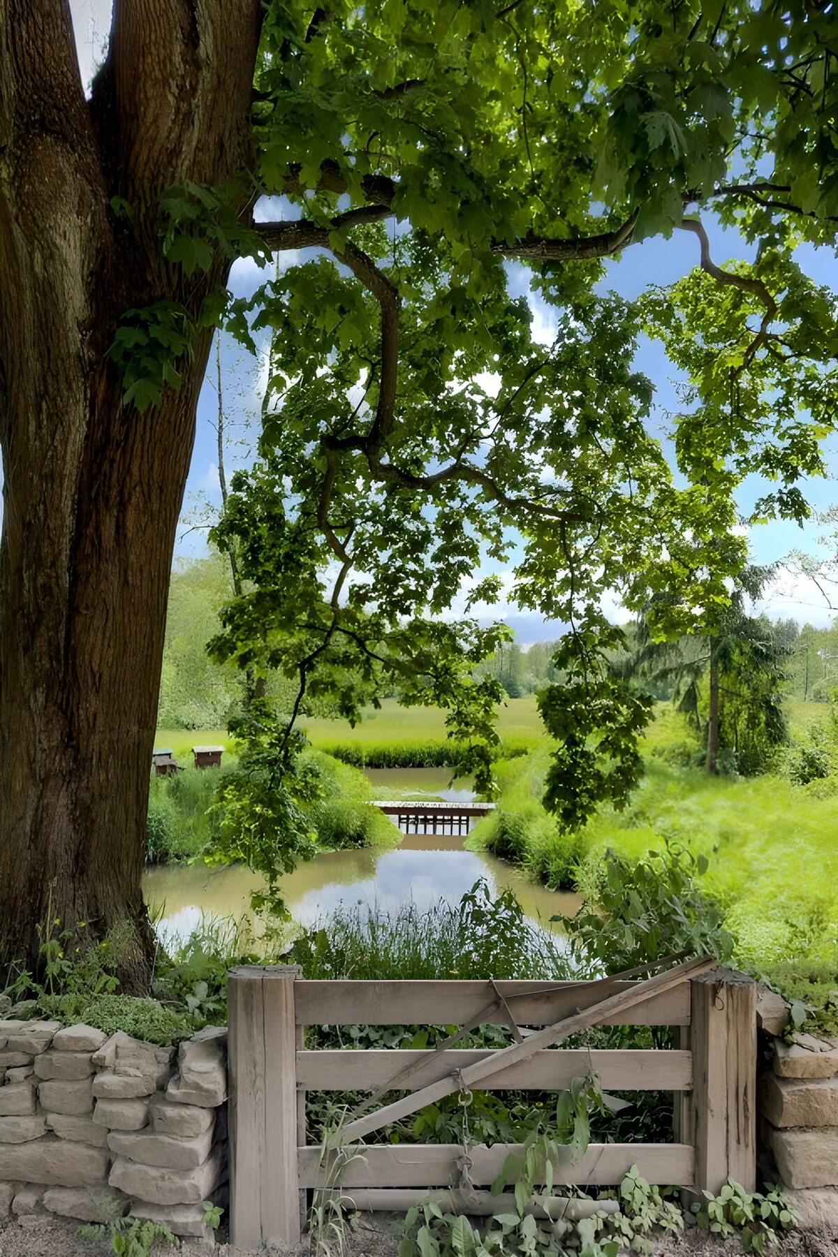 Wooden gate beside a shaded stream