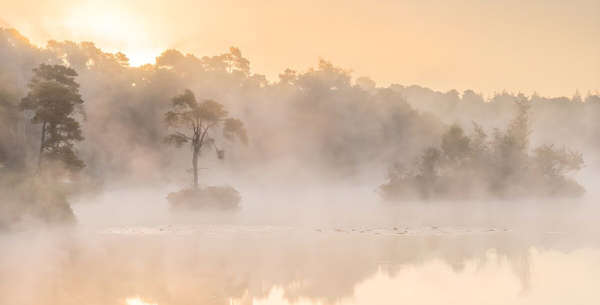 Wooded islands in the morning mist