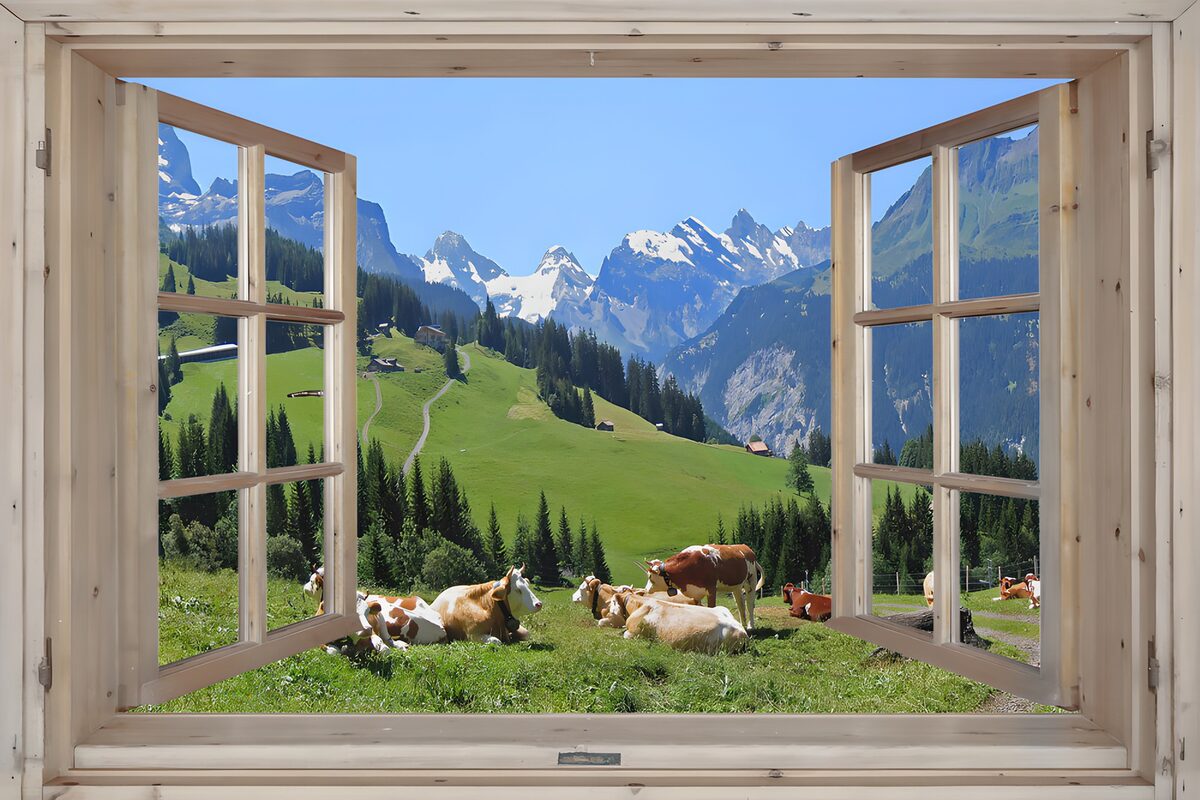 Open window on a sunlit mountain meadow