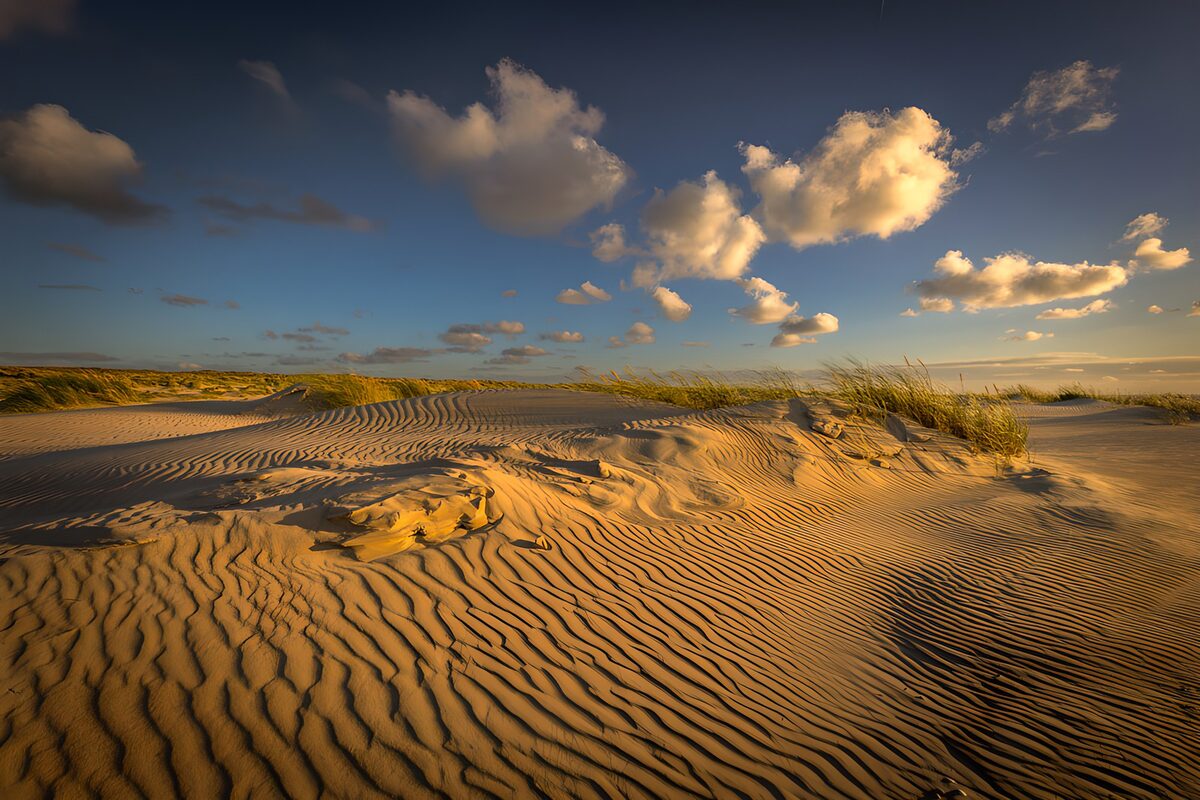Rolling sand dunes in low sunlight