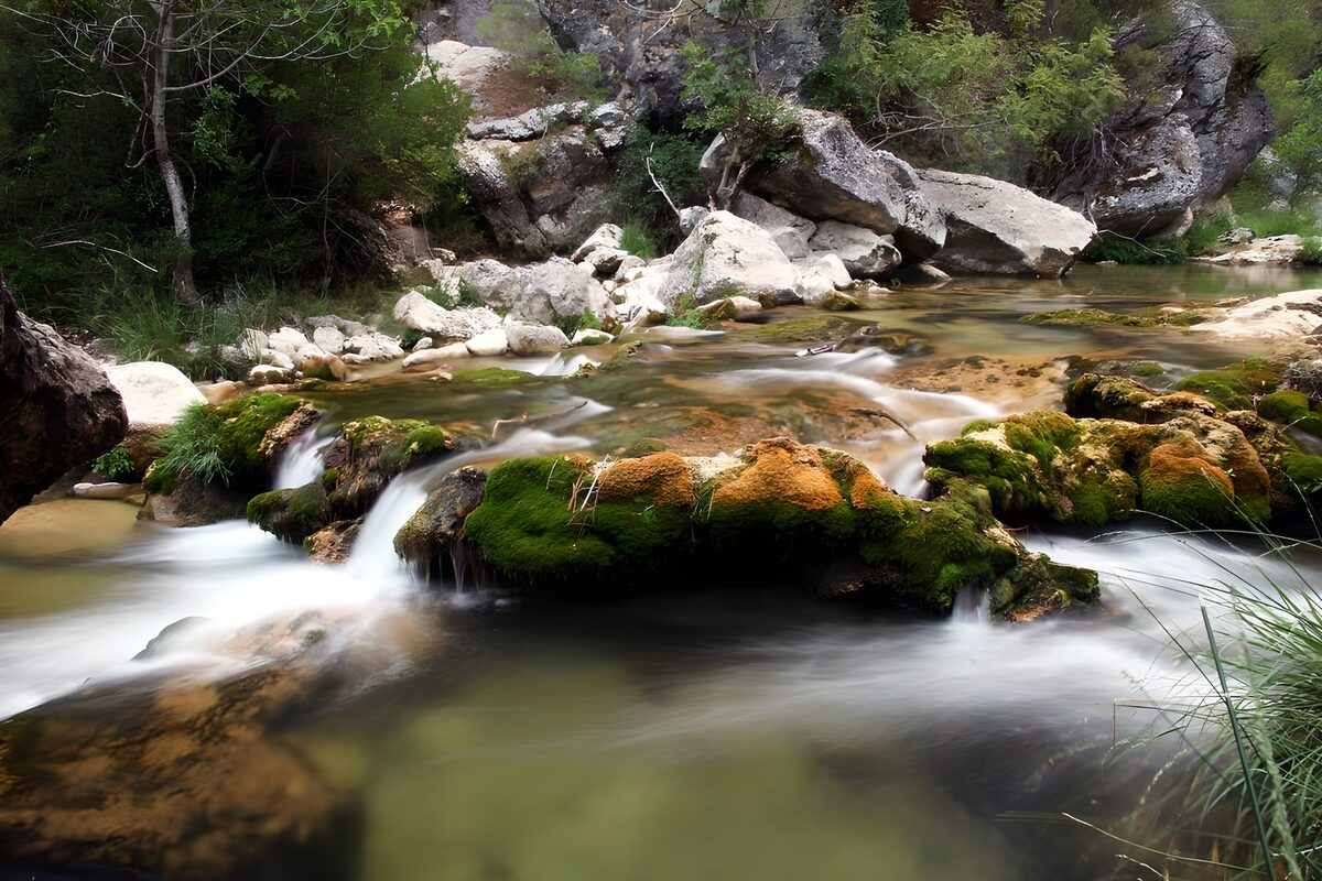 Woodland stream with a gentle tumble