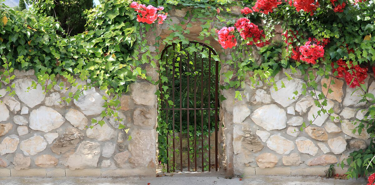 Welcoming iron gate in an ivy-clad wall