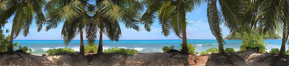 Where palm shade meets the blue sea