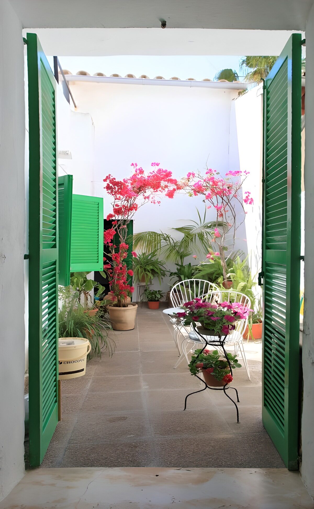 Green doors to a sunlit flower courtyard