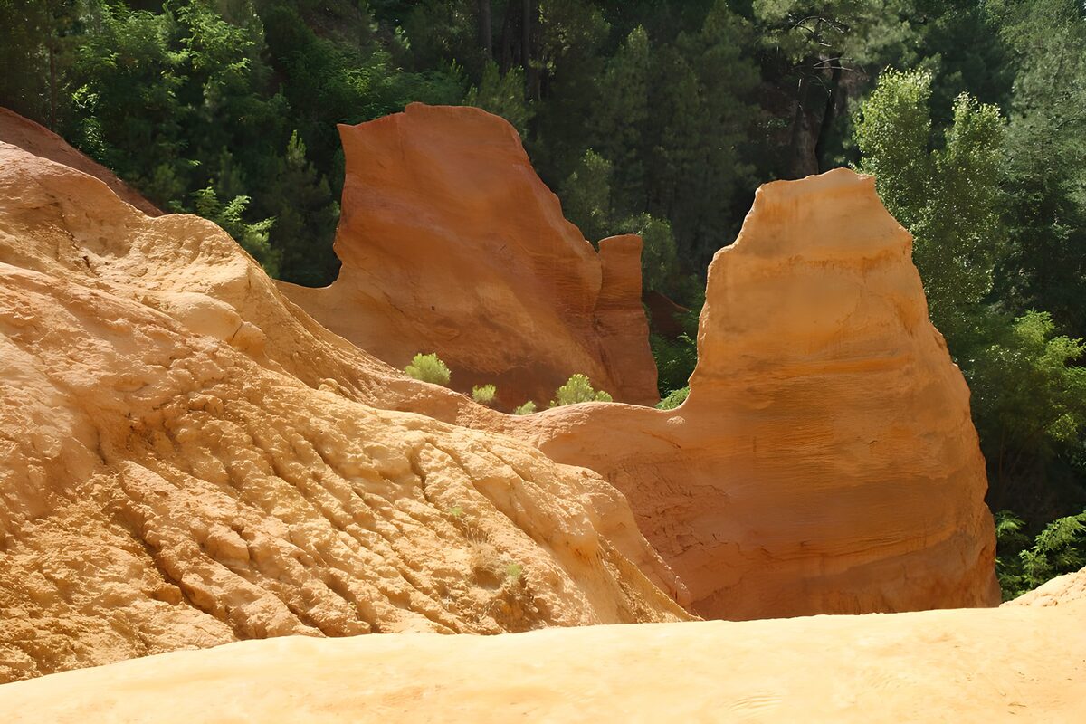 Sunlit golden rocks and shaded woodland