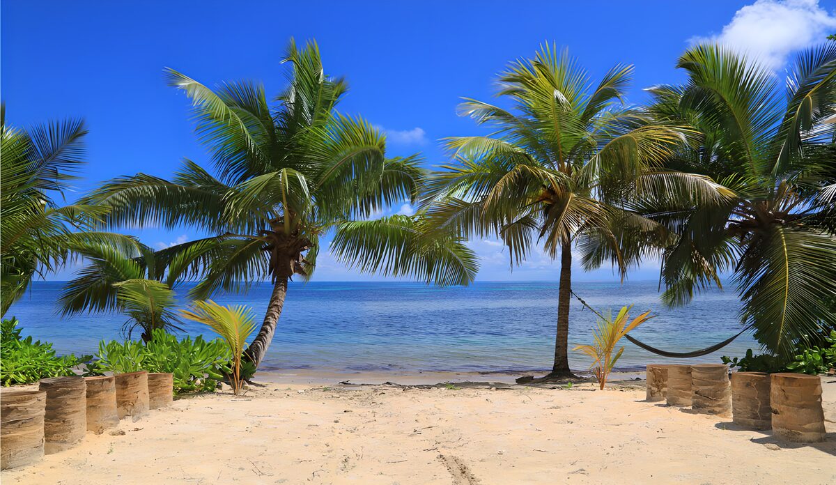 Sunlit beach beneath leaning palms