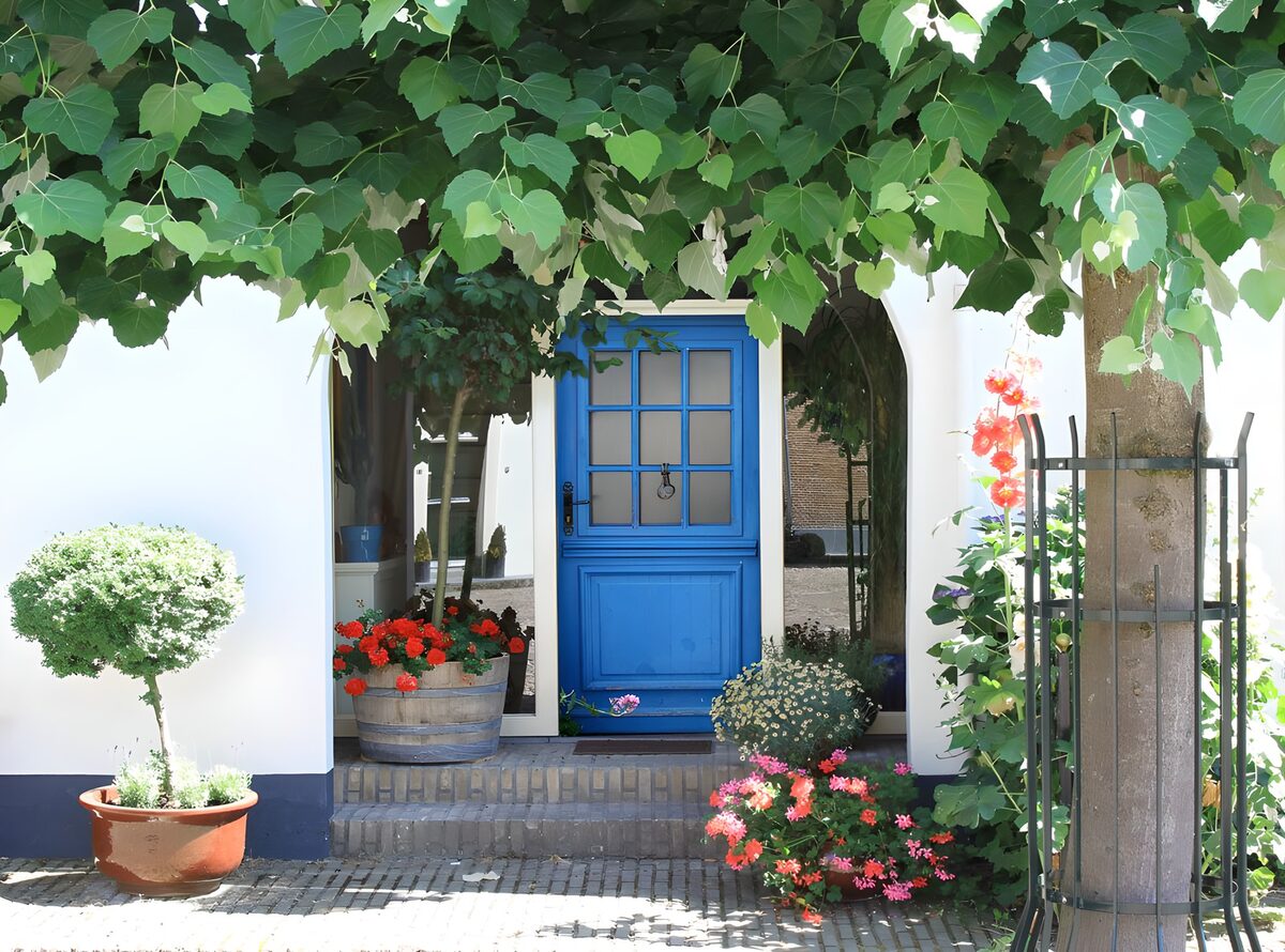Blue door and flowers in dappled shade