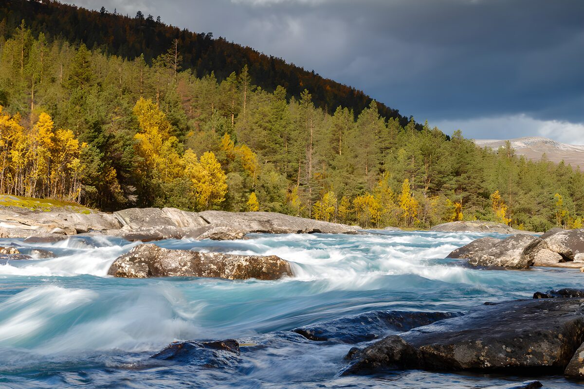 Turquoise rapids and golden autumn trees