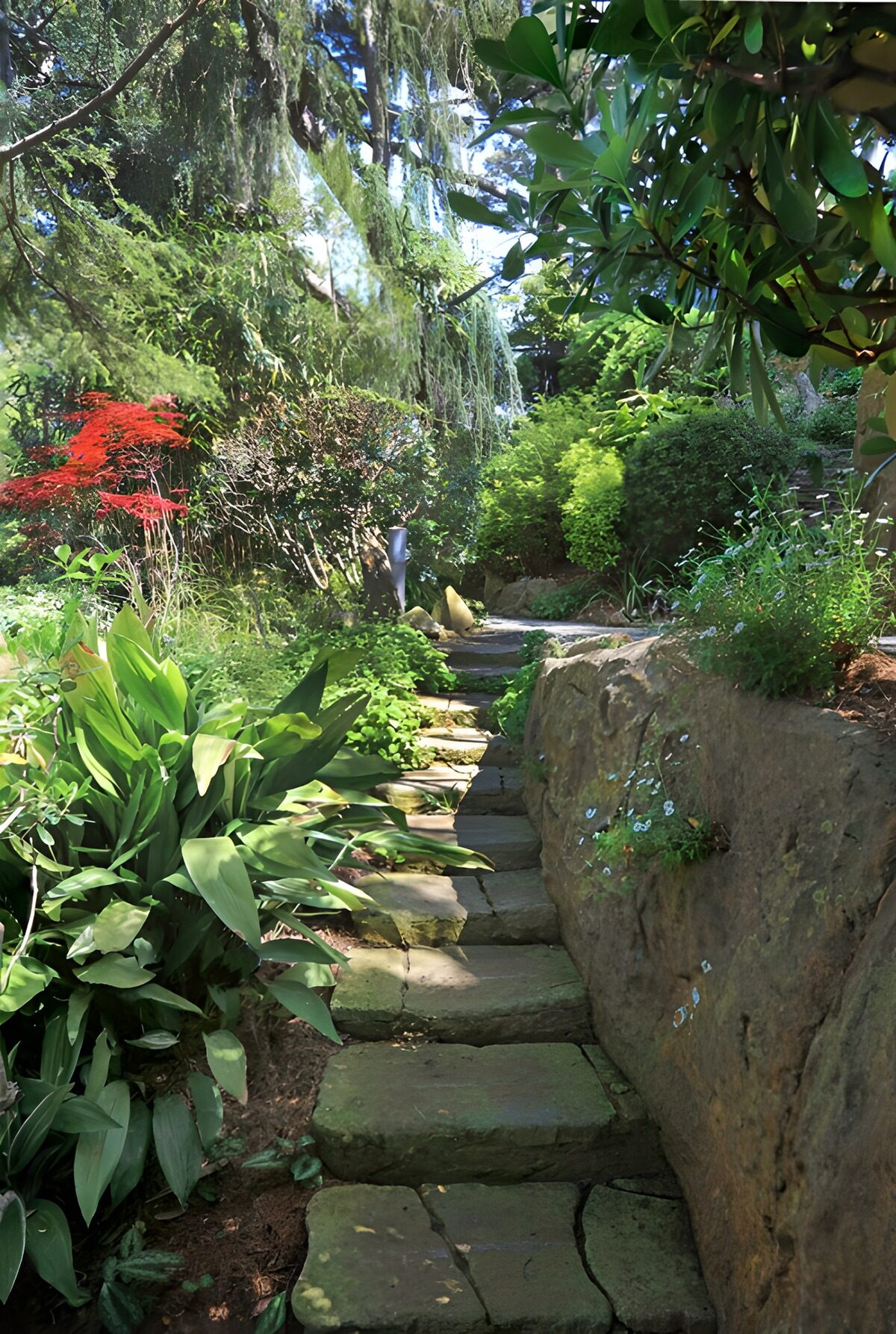 Stone steps through a shady garden