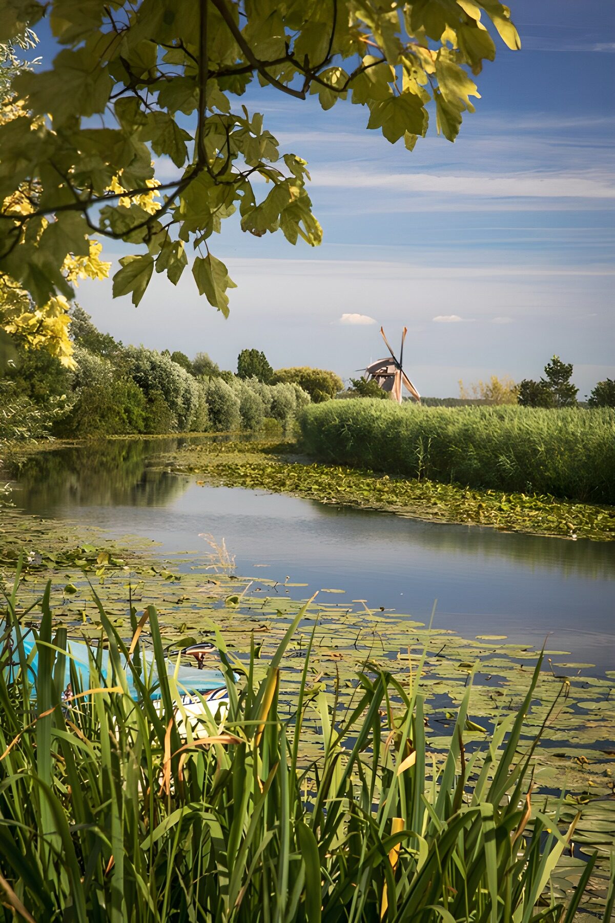 Windmill by a quiet, reed-lined waterway
