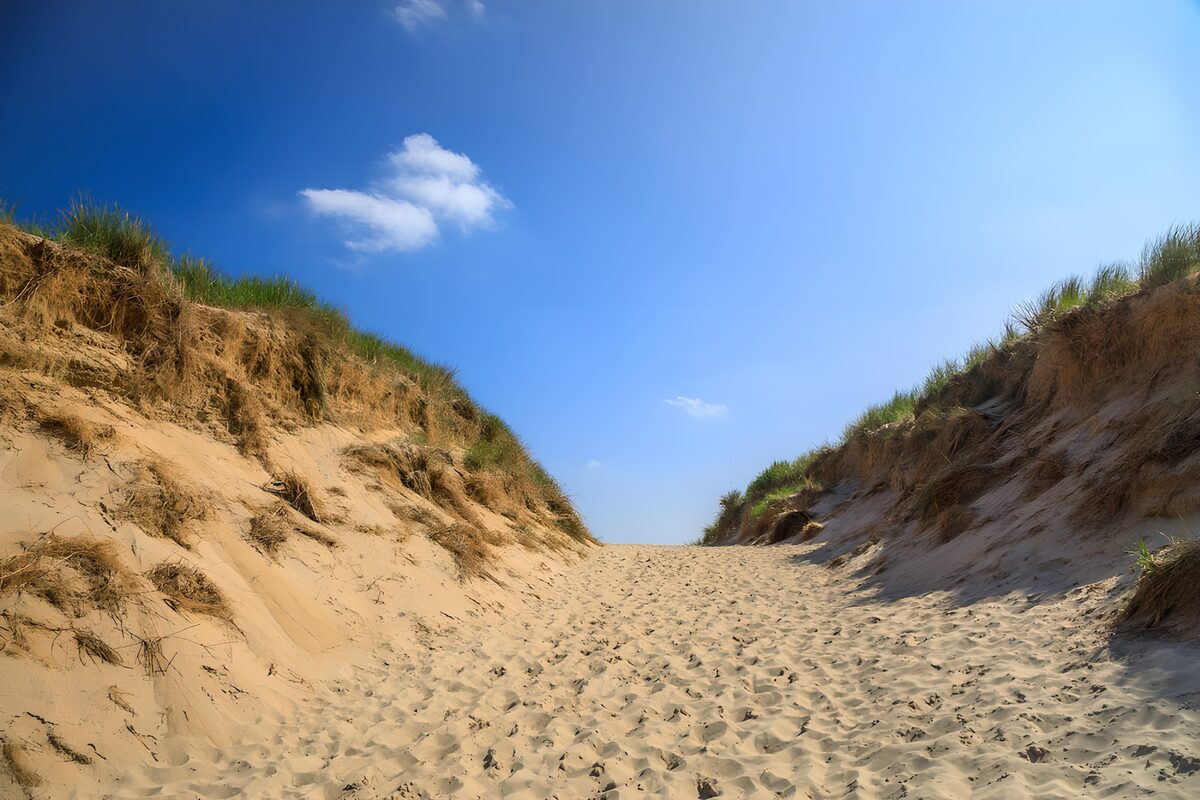 Sunlit sandy path between grassy dunes