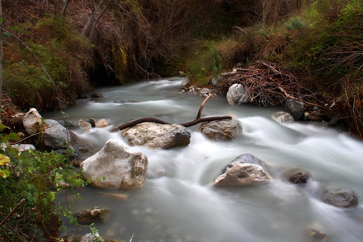 Rocky woodland stream in soft light