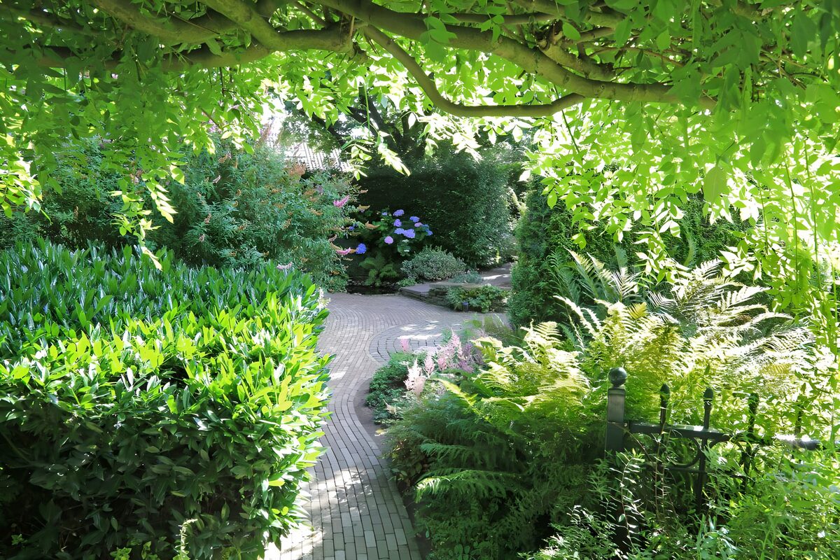 Winding brick path through lush greenery