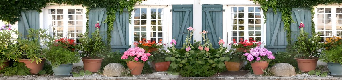 Shuttered windows and pots of colour
