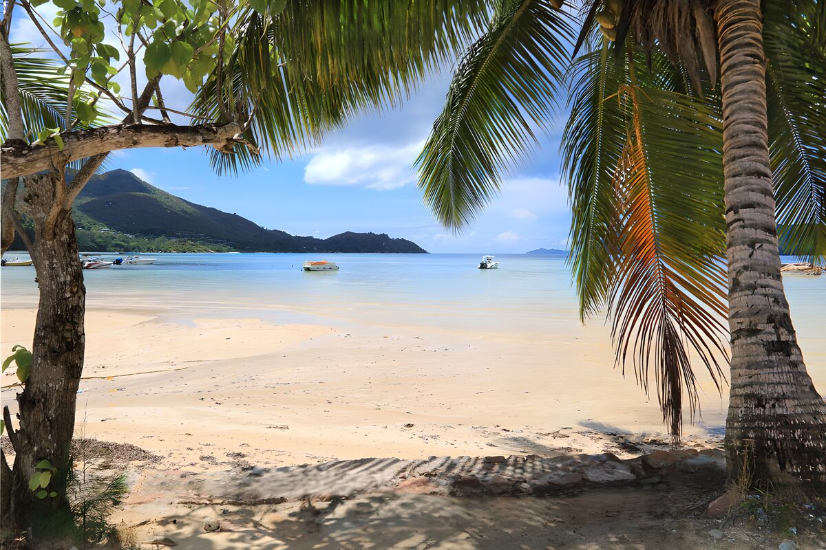 Palm-framed beach beside a sheltered bay