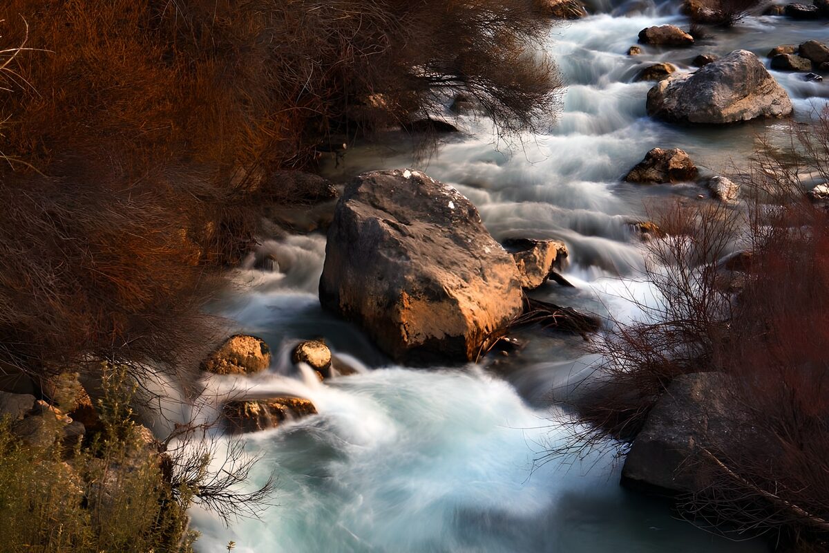 Rocky stream in golden light