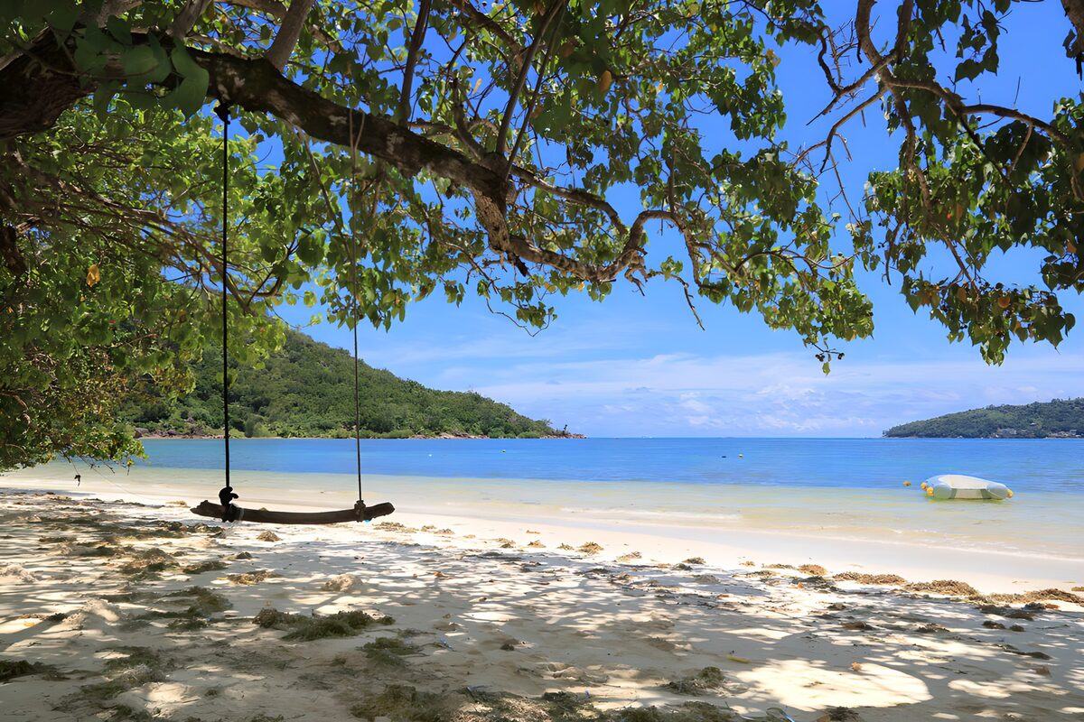 Beach swing beside a turquoise bay