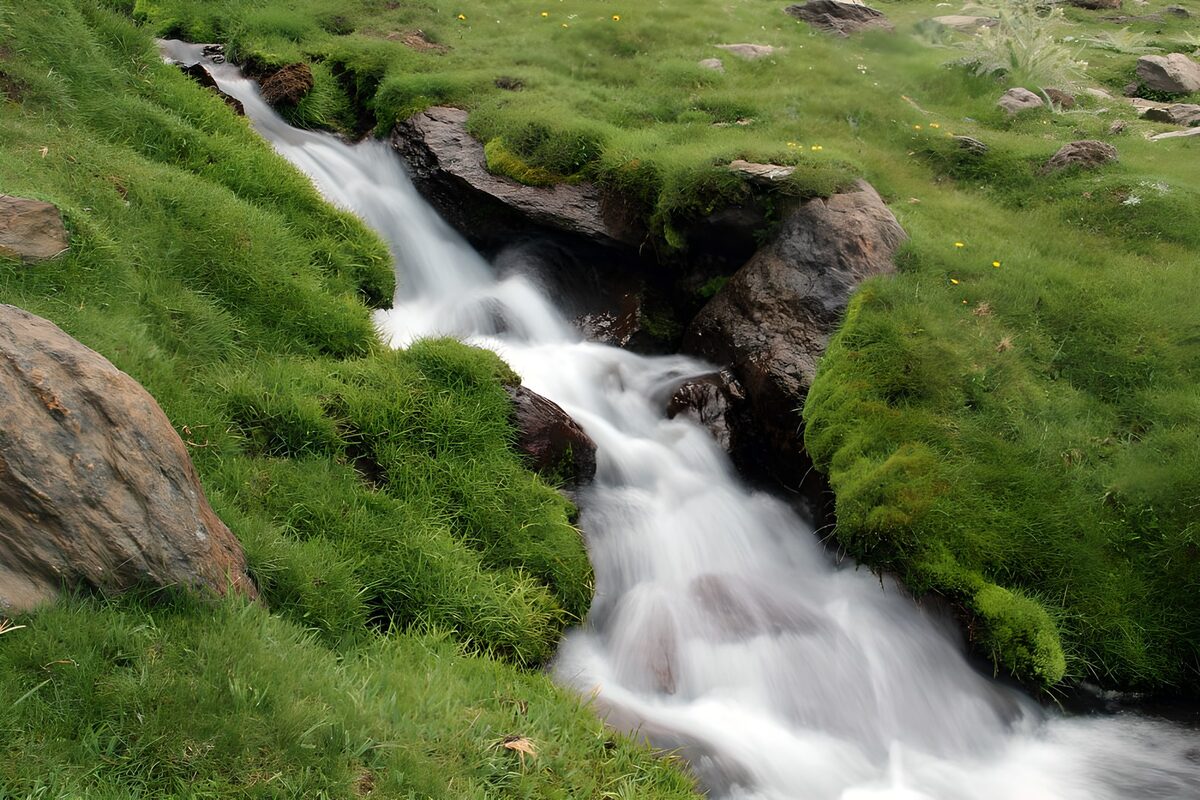 Rocky stream through lush green grass