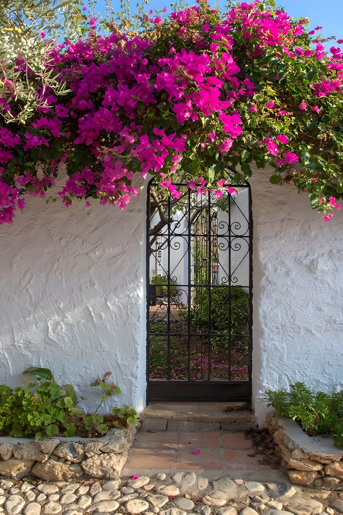 Sunlit gate beneath pink bougainvillea