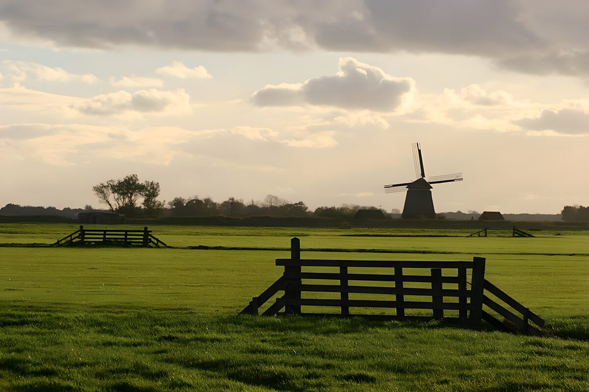 Windmill over fields in low sunlight
