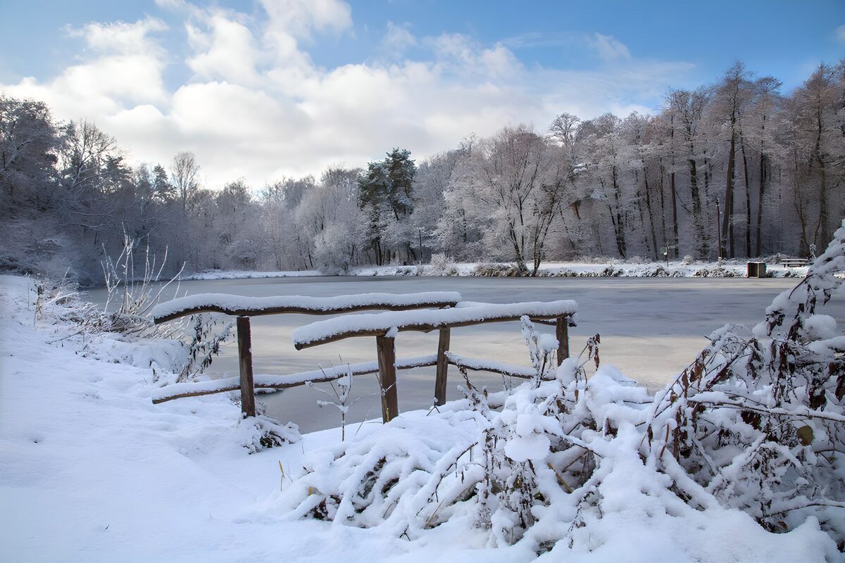 Snowy railings beside a frozen pond