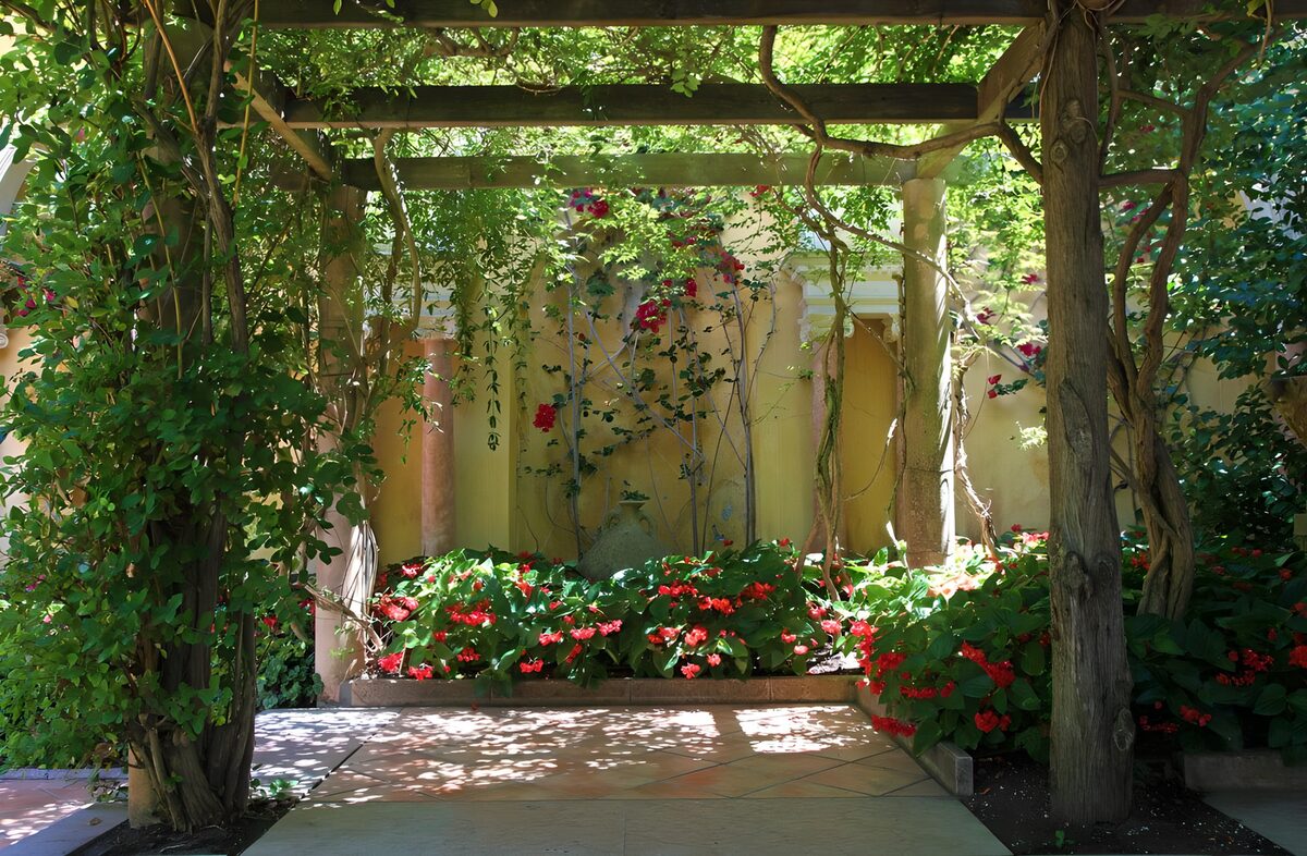 Flowers beneath a shady wooden pergola