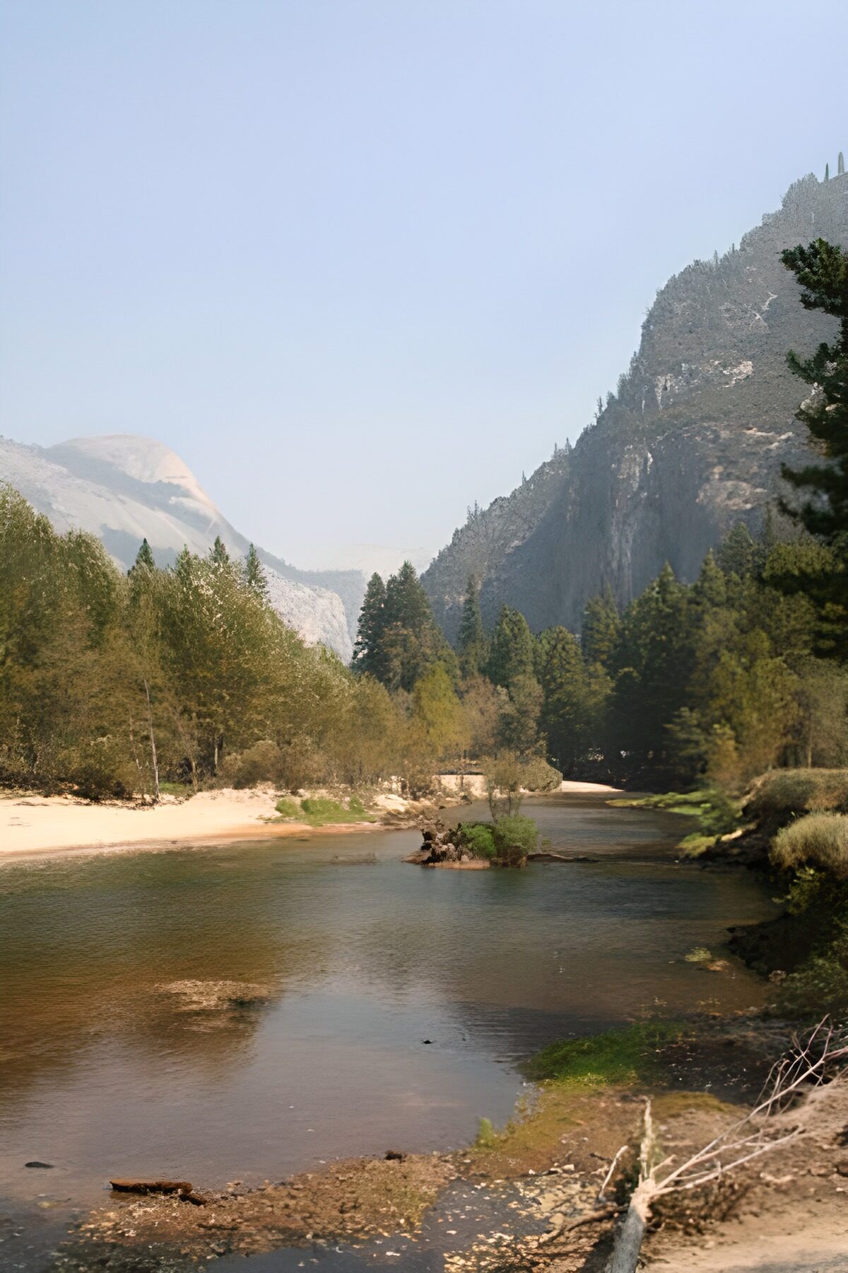 Mountain river and wooded banks