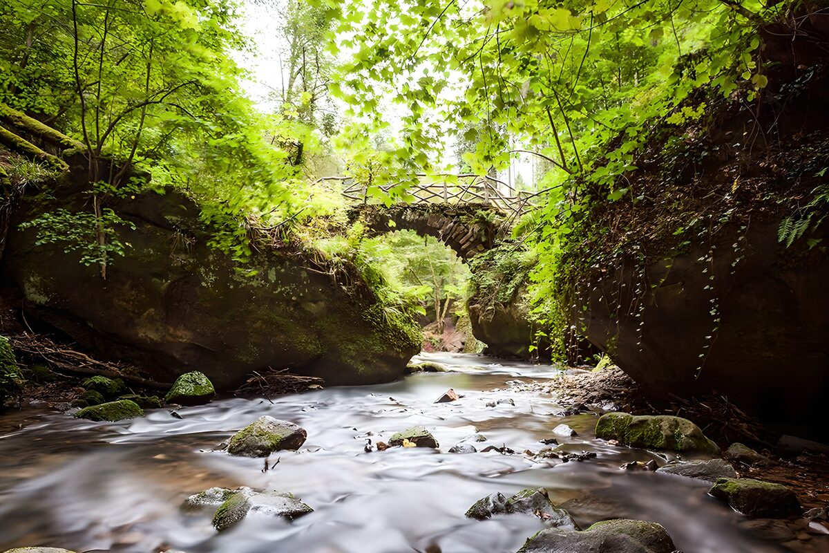 Stone bridge over a shaded woodland stream